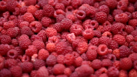 Raspberry fruits background Stock Footage 35534356