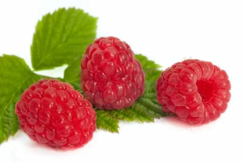 Raspberry fruits Stock Photos