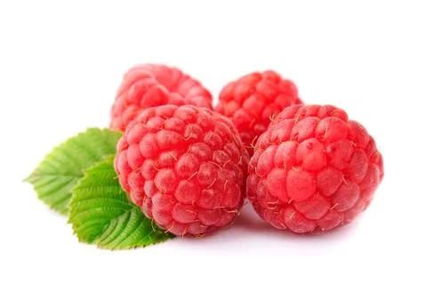 Raspberry fruits Stock Photos