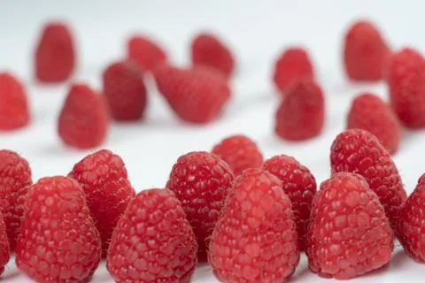 Raspberry fruits on a white background Stock Photos