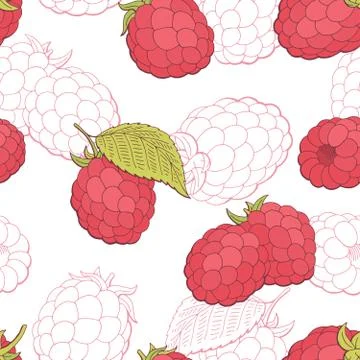Raspberry graphic red color seamless pattern sketch illustration vector Stock Illustration