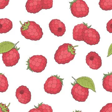 Raspberry graphic red green color seamless pattern background sketch illustratio Stock Illustration