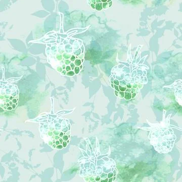 Raspberry on green background, seamless pattern. Vector Stock Illustration