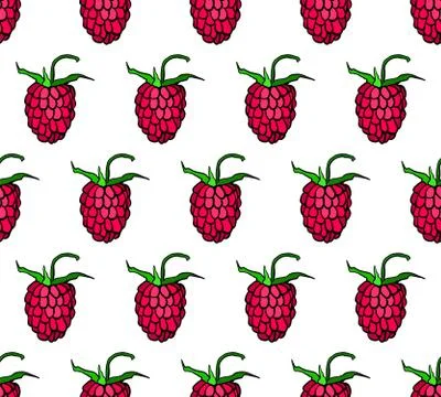 Raspberry hand drawn doodle repeated seamless pattern. Stock Illustration