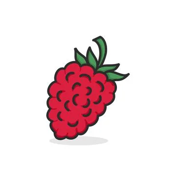 Raspberry hand drawn illustration flat color Stock Illustration