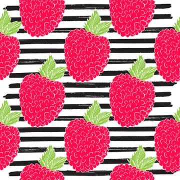 Raspberry hand drawn sketch striped Seamless Pattern. Vector Illustration Stock Illustration