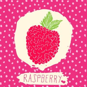 Raspberry hand drawn sketched fruit with leaf on background with dots pattern Stock Illustration
