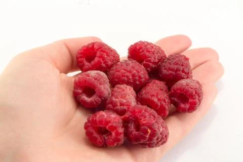 Raspberry in hand Stock Photos