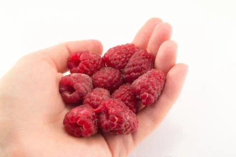 Raspberry in hand Stock Photos