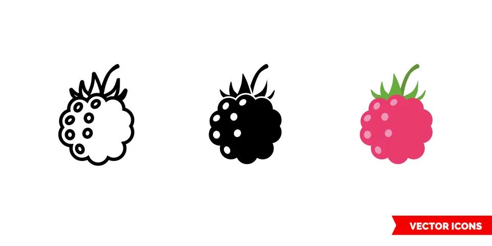 Raspberry icon of 3 types color, black and white, outline. Isolated vector sign Illustrazione stock