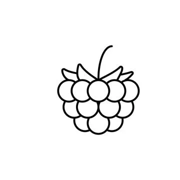 Raspberry icon element of fruit icon for mobile concept and web apps. Thin li Stock Illustration