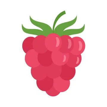 Raspberry icon flat isolated Stock Illustration