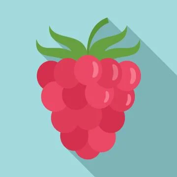 Raspberry icon, flat style Illustrazione stock