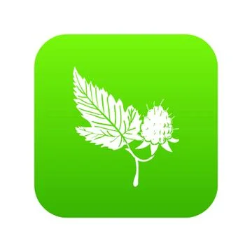 Raspberry icon green vector Stock Illustration