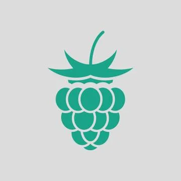 Raspberry icon Stock Illustration