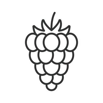Raspberry icon in line design. raspberry berry fruit food fresh organic sweet Illustration