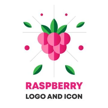 Raspberry icon, logo, berry vector illustration. Flat raspberry icon, logo for Stock Illustration