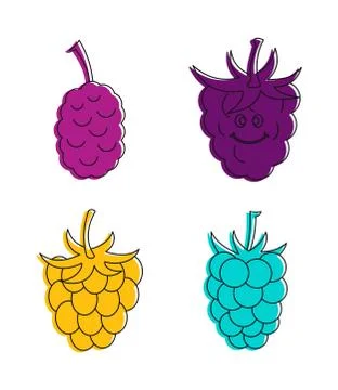 Raspberry icon set, color outline style Stock Illustration