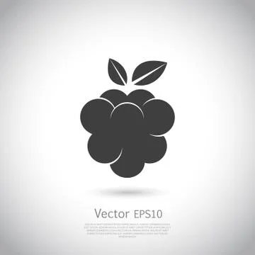 Raspberry icon silhouette Stock Illustration