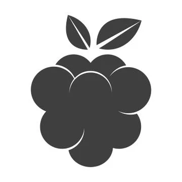 Raspberry icon silhouette Stock Illustration
