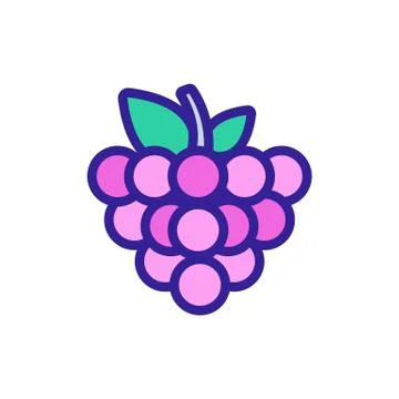 Raspberry icon vector. Isolated contour symbol illustration Stock Illustration