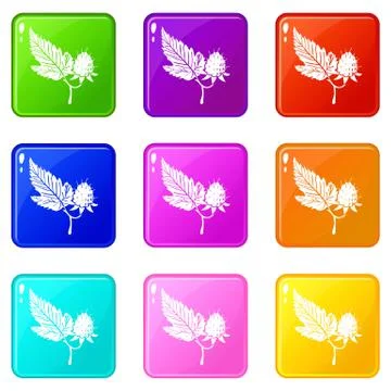 Raspberry icons set 9 color collection Illustrazione stock