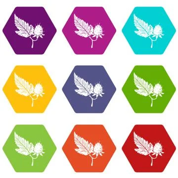 Raspberry icons set 9 Illustrazione stock