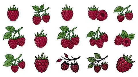 Raspberry Icons Set With Branch Leaf And Berry Stock Illustration