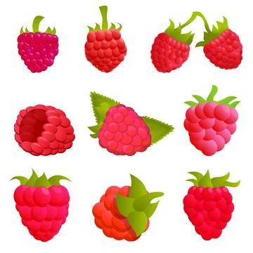 Raspberry icons set, cartoon style Stock Illustration