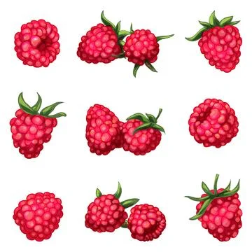 Raspberry icons set cartoon vector. Sweet food Illustrazione stock
