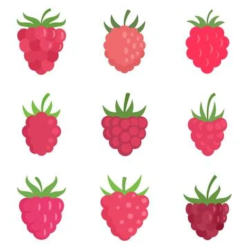 Raspberry icons set flat isolated Stock Illustration