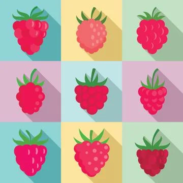 Raspberry icons set, flat style Illustrazione stock