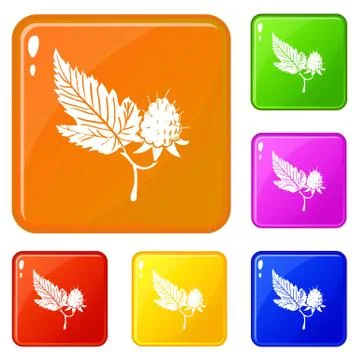 Raspberry icons set vector color Illustrazione stock