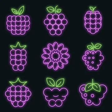 Raspberry icons set vector neon Illustrazione stock