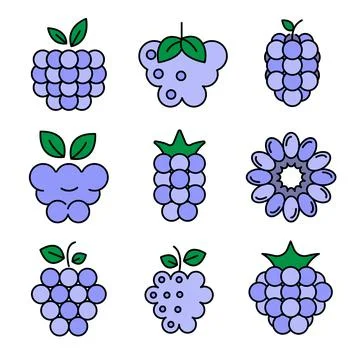 Raspberry icons vector flat Illustrazione stock