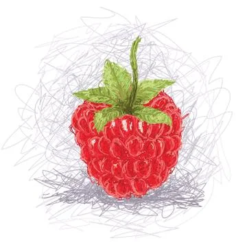 Raspberry Stock Illustration