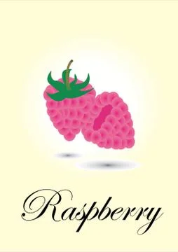 Raspberry Illustrazione stock