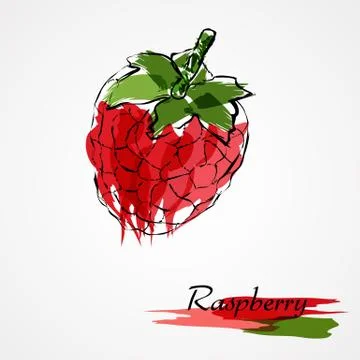 Raspberry Illustrazione stock