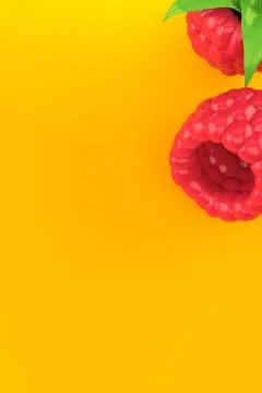 Raspberry Stock Illustration