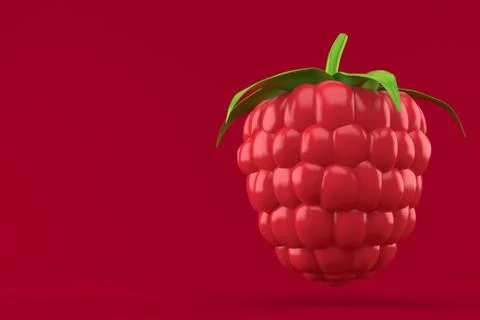 Raspberry Stock Illustration