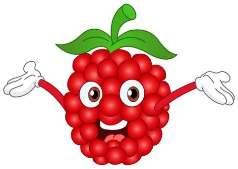 Raspberry Stock Illustration