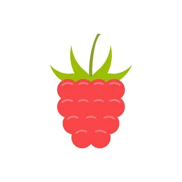 Raspberry Stock Illustration
