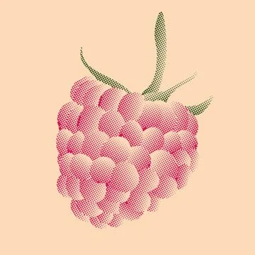 Raspberry Illustrazione stock