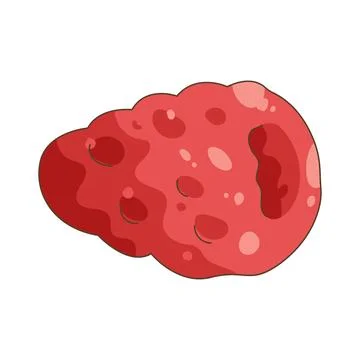 Raspberry Stock Illustration