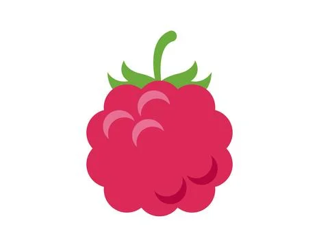 Raspberry illustration for coloring book template, raspberry for kids works.. Illustrazione stock