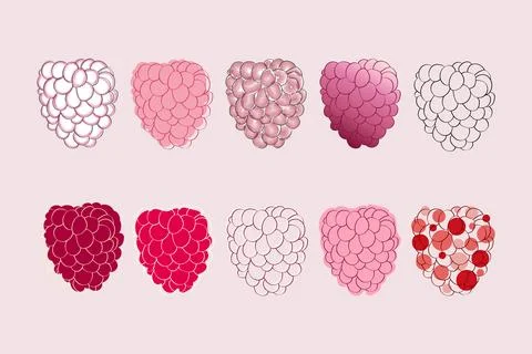 Raspberry illustration variations Stock Illustration