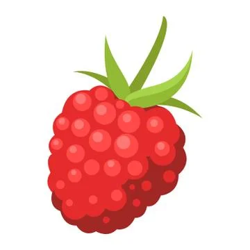 Raspberry illustration. Vector icon of single ripe fresh raspberry. Vector Stock Illustration