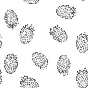 Raspberry, isolated berry. Seamless pattern background vintage Illustrazione stock