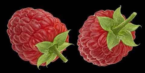 Raspberry isolated on black background Stock Photos