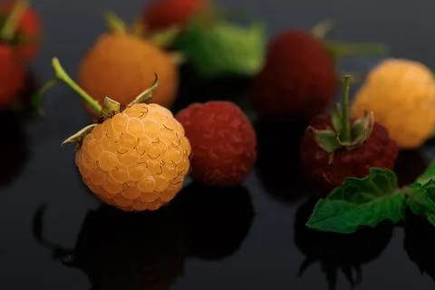 Raspberry isolated on black background. Sweet ripe fresh delicious raspberry Foto stock